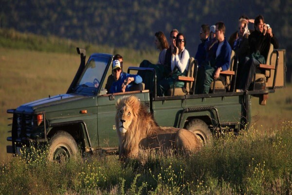 Garden Route Game Lodge