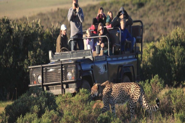 Garden Route Game Lodge