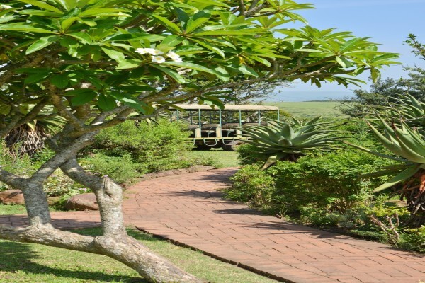 Tala Private Game Reserve