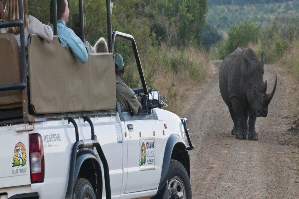 Isinkwe Safaris & Bushcamp
