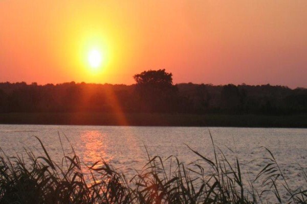Isinkwe Safaris & Bushcamp