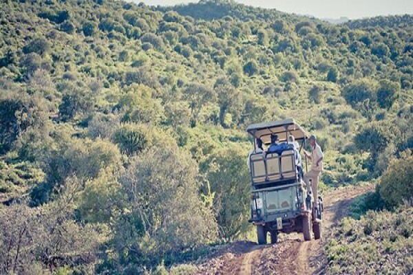 Buffelsdrift Game Lodge