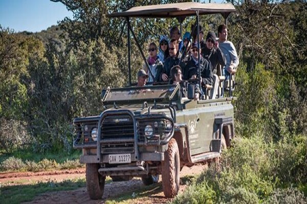 Buffelsdrift Game Lodge