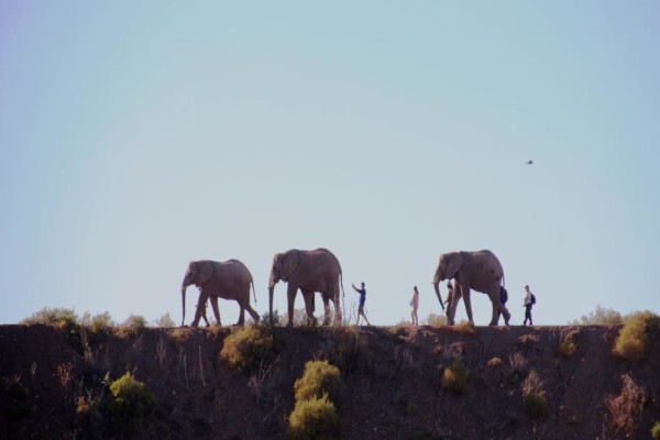 Buffelsdrift Game Lodge