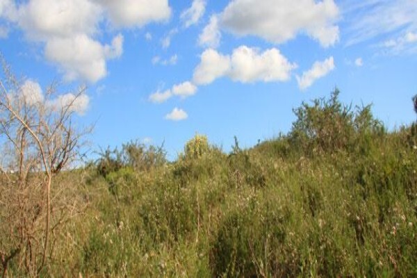 Cape West Coast Biosphere Reserve