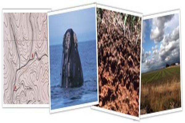 Cape West Coast Biosphere Reserve