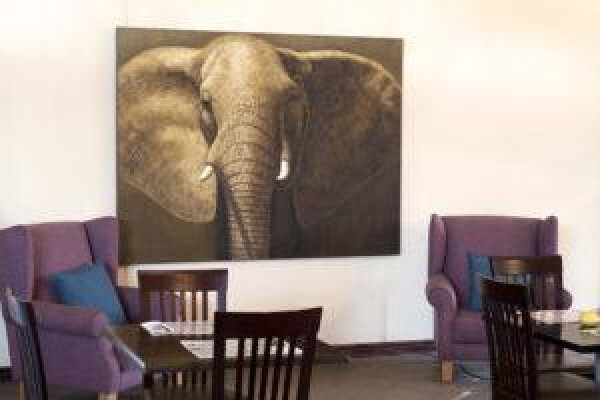 Fairy Glen Game Reserve & Safaris