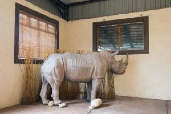 Fairy Glen Game Reserve & Safaris