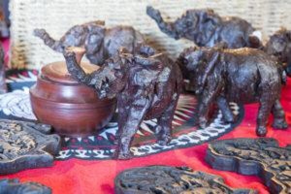 Fairy Glen Game Reserve & Safaris