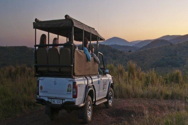 Isinkwe Safaris & Bushcamp