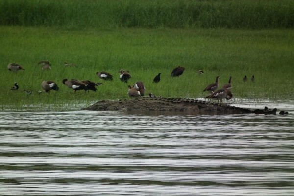 Pongola Game Reserve(North)