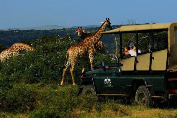 Sibuya Game Reserve