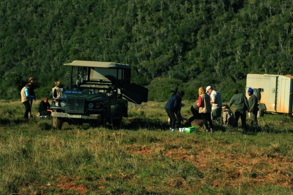 Sibuya Game Reserve