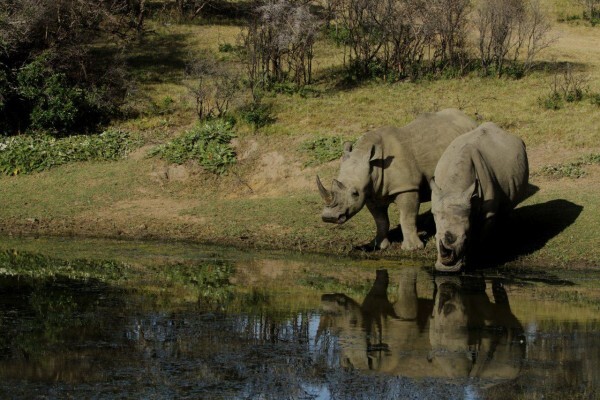 Sibuya Game Reserve