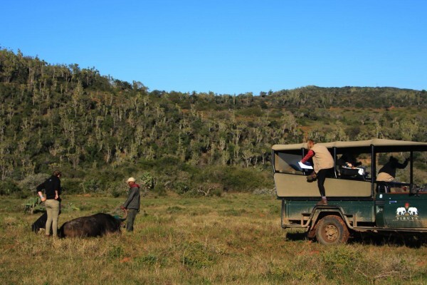 Sibuya Game Reserve