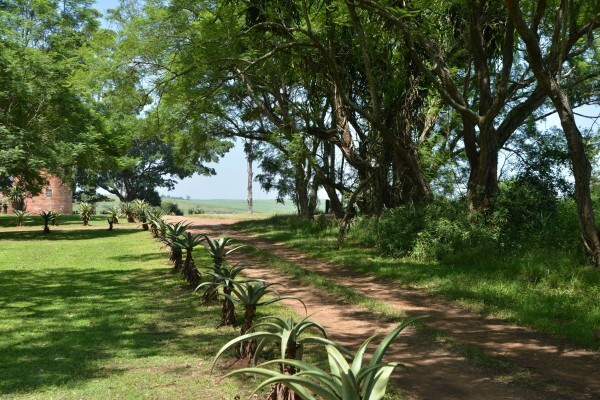 Tala Private Game Reserve