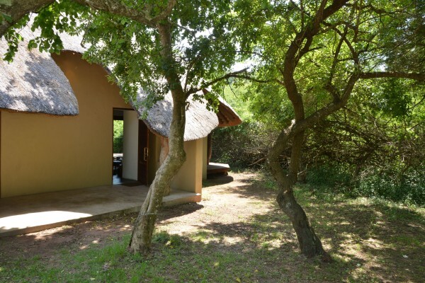 Tala Private Game Reserve