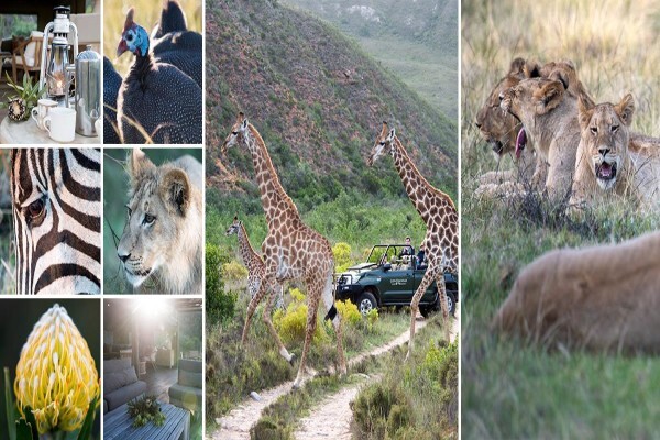 Gondwana Game Reserve