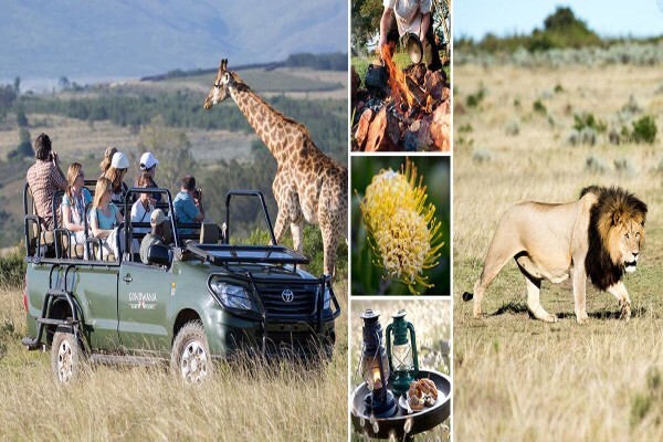 Gondwana Game Reserve