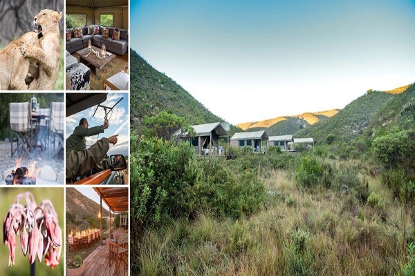 Gondwana Game Reserve