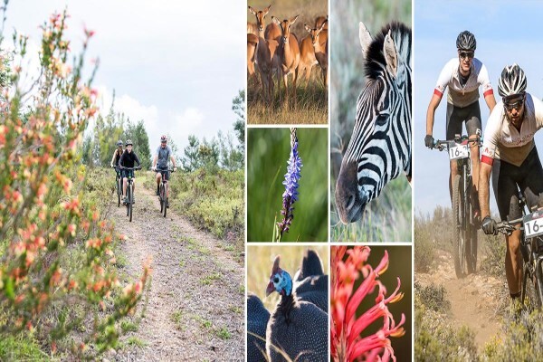 Gondwana Game Reserve