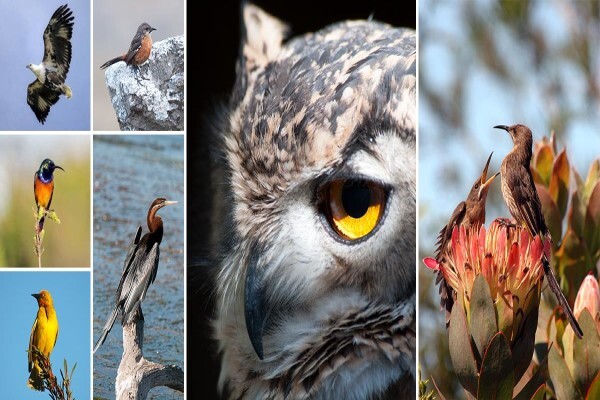 Gondwana Game Reserve