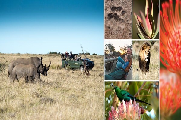Gondwana Game Reserve