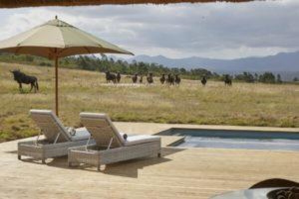 Gondwana Game Reserve