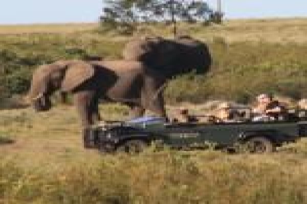 Gondwana Game Reserve