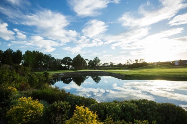 Steenberg Golf Estate