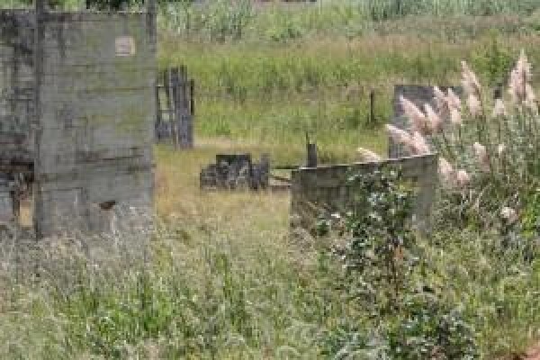 Bullseye Paintball Supply