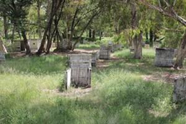 Bullseye Paintball Supply