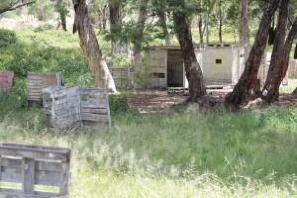 Bullseye Paintball Supply