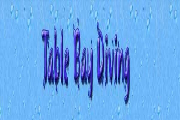Table Bay Diving & Day Tours & Safaris
