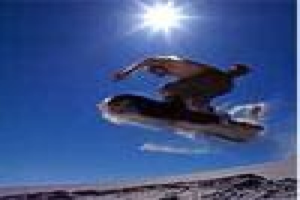 Table Bay Diving & Day Tours & Safaris