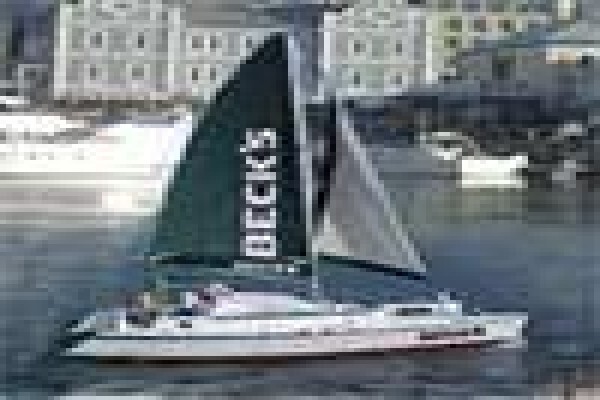 Table Bay Diving & Day Tours & Safaris