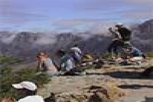 Table Bay Diving & Day Tours & Safaris