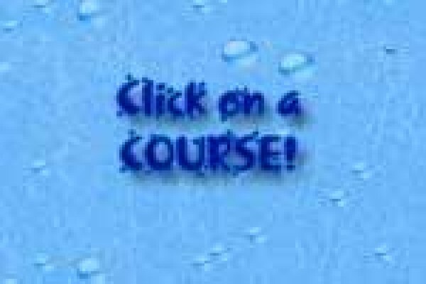Table Bay Diving & Day Tours & Safaris