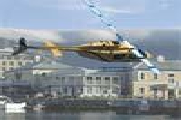 Table Bay Diving & Day Tours & Safaris