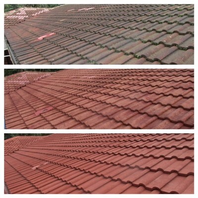 S & V Protective Coatings