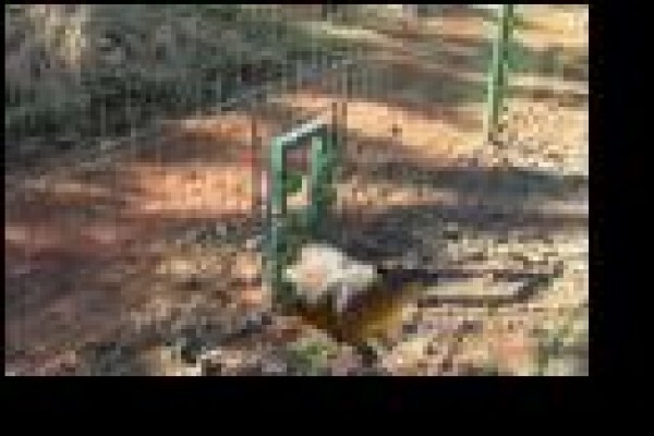 Alarm Fencing (KZN) CC