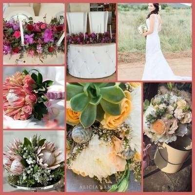 Camelia Florists