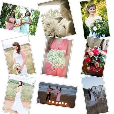 Camelia Florists