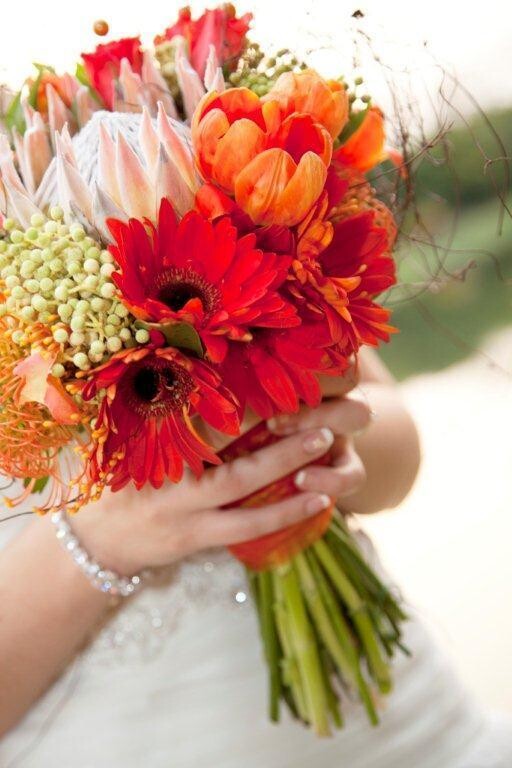 Camelia Florists