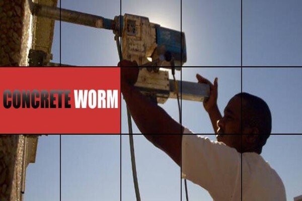 Concrete Worm CC