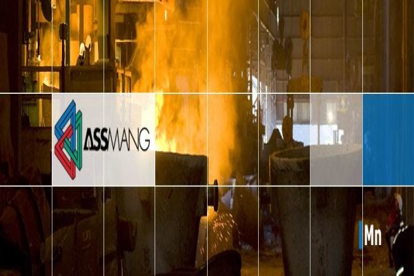 Assmang Ltd:Security After hours