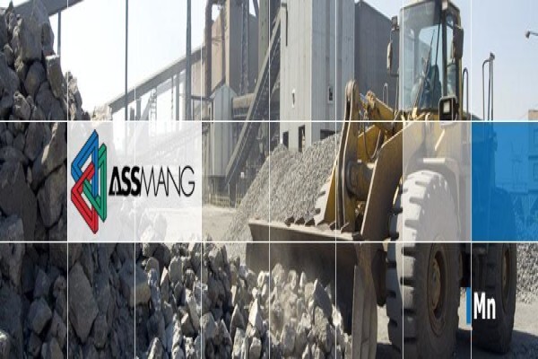 Assmang Ltd:Security After hours