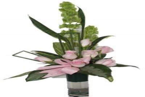 Henry Williams Florist:BRANCHES:Northern Suburbs