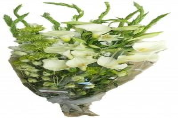 Williams Henry Florists:BRANCHES:Northern Suburbs