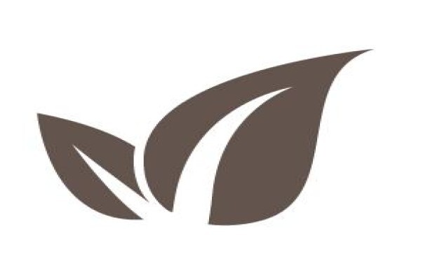 Anglogold Ashanti